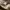 Celine Macadam Small Shoulder Bag photo 10