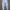 Joger Pants MLB photo 3