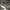 Mastermind photo 4