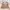 Light Brown Polkadot Lace Camisole With Ribbon Not Liz Lisa