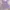lavender satin sleep top lace ribbon defect photo 2