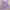 Lavender Satin Sleep Top Lace Ribbon Defect