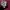 Santa Cruz Skateboards Streetwear T-shirt Pria burgundy photo 3