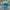 #FR2 Vintage Streetwear Hat Pria Blue Yellow