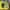 #FR2 Vintage Streetwear Hat Pria blue yellow photo 3