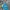 #FR2 Vintage Streetwear Hat Pria Blue Yellow