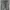 Y2K Black Stone Washed Women's Jeans Flared Cutbray Bootcut  photo 3
