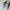 Sepatu Adidas Yeezy Boost 350 /Sepatu anak size 31 photo 1