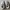 Sepatu Adidas Yeezy Boost 350 /Sepatu anak size 31 photo 3