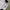 Asics Baseball Sakuraidani Jersey photo 6