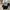 Asics Baseball Sakuraidani Jersey photo 8