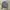 Stray Nylon Combine Wool Grey Jacket photo 1