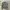 Stray Nylon Combine Wool Grey Jacket