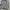 Stray Nylon Combine Wool Grey Jacket photo 2