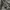 Stray Nylon Combine Wool Grey Jacket photo 6