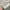 I AM MUSIC Playboi Carti adidas Jersey photo 7