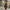 Tumbler Starbucks Alicia Olivia Limited Edition photo 1