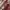 Nett Cartier Must De Cartier Maroon shoulder bag photo 5
