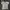 Jersey jerman photo 1