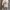 Balenciaga Authentic Entrupy Bolsa Cinza coksu handbag photo 8