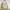 Balenciaga Authentic Entrupy Bolsa Cinza coksu handbag photo 1