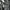 Net Saint Laurent Authentic Serie Muse Two Pong style calfsk photo 5