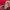Jersey arsenal photo 5