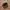 Topi Flatcap Kangol Wool Vintage - Baret Kangol - Kangol 504