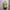 y2k top photo 3
