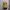 y2k top photo 6