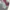 Vintage Derby Knitwear – Pria / Unisex photo 3