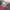 Vintage Derby Knitwear – Pria / Unisex photo 4