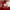 Celana Bayern Munchen merk ADIDAS photo 9