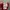 Celana Bayern Munchen merk ADIDAS photo 8