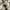 Vintage watch / jam tangan vintage photo 1