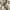 Vintage watch / jam tangan vintage photo 3