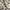 Vintage watch / jam tangan vintage photo 2
