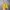 TRUCKER PANCOAT YELLOW photo 1