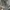Helly Hansen gorpcore jacket photo 7