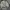 Helly Hansen gorpcore jacket photo 9