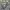 Helly Hansen gorpcore jacket photo 8