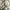 Vintage watch / jam tangan vintage photo 3