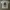 kaos nbhd neighborhood japan white size large used good cond photo 2