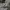 kaos nbhd neighborhood japan white size large used good cond photo 6