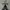 kaos nbhd neighborhood japan white size large used good cond photo 3