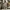 Dickies khakis 874 photo 1