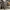 3D cargo pant ultility photo 3