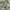 3D cargo pant ultility photo 7