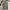3D cargo pant ultility photo 4
