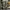 3D cargo pant ultility photo 2